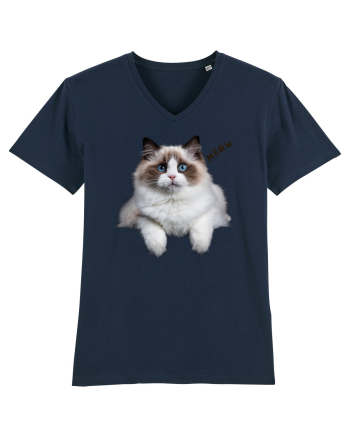 Pisica siameza ochi albastri Meow Miau French Navy