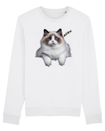 Pisica siameza ochi albastri Meow Miau White