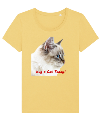 Hug a cat today Jojoba