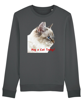 Hug a cat today Anthracite