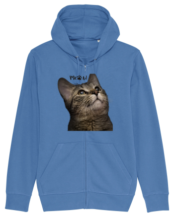 Meow Bright Blue