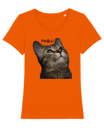 Meow Bright Orange