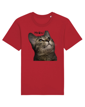 Meow Red