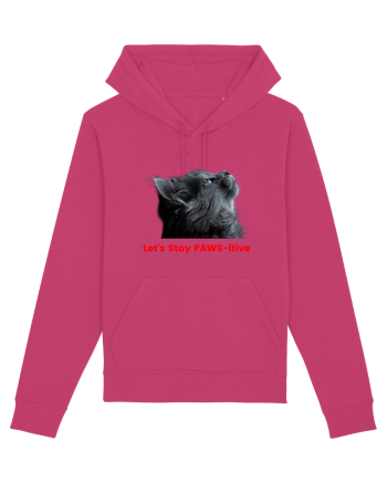 Let's Stay PAWS-itive Raspberry