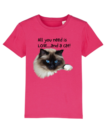 All you need is LOVE... and a cat! Raspberry