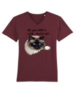 All you need is LOVE... and a cat! Tricou mânecă scurtă guler V Bărbat Presenter