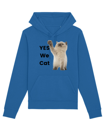 Yes We Cat, Pisica British Shorthair alba Royal Blue