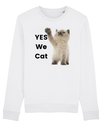 Yes We Cat, Pisica British Shorthair alba White