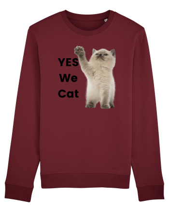 Yes We Cat, Pisica British Shorthair alba Burgundy