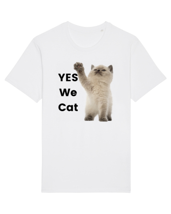 Yes We Cat, Pisica British Shorthair alba White