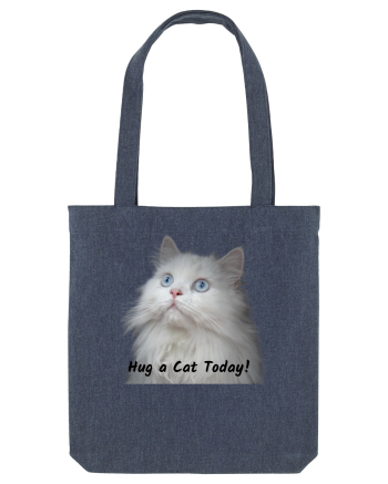 Hug a cat today, pisica ochi albastri Midnight Blue