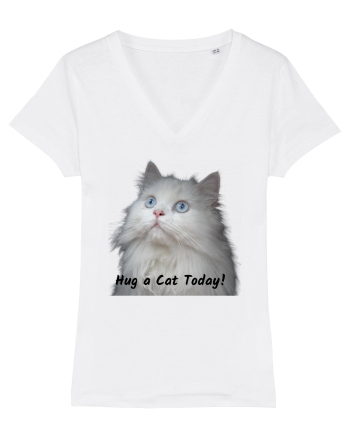 Hug a cat today, pisica ochi albastri White