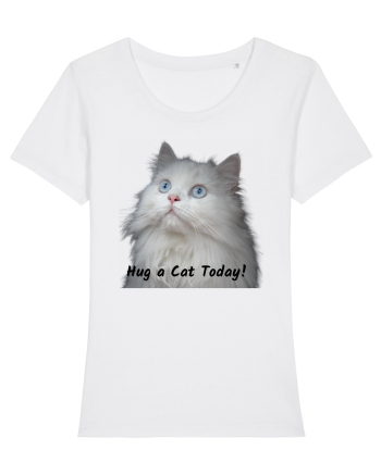 Hug a cat today, pisica ochi albastri White