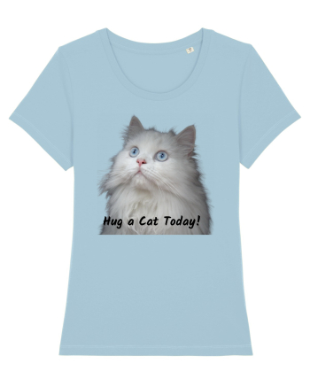 Hug a cat today, pisica ochi albastri Sky Blue