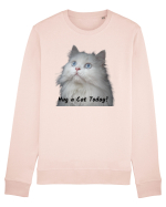 Hug a cat today, pisica ochi albastri Bluză mânecă lungă Unisex Rise