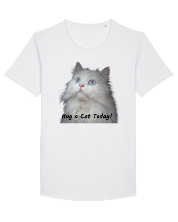 Hug a cat today, pisica ochi albastri White