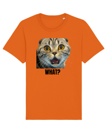 What? Bright Orange
