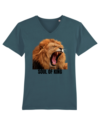 Soul of King Stargazer