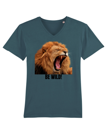 Be wild Stargazer