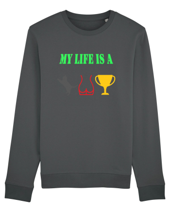 My life is a cat-ass-trophy Anthracite
