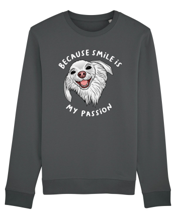 Because Smile is My Passion Anthracite
