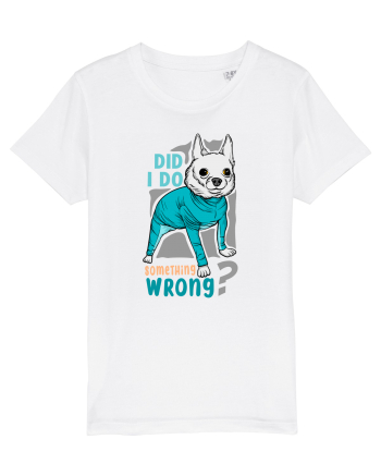 Did I Do Something Wrong White