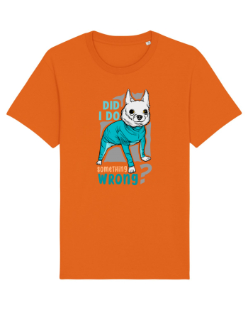 Did I Do Something Wrong Bright Orange