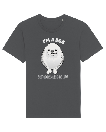I'm a Dog But Looks Like An Egg Anthracite