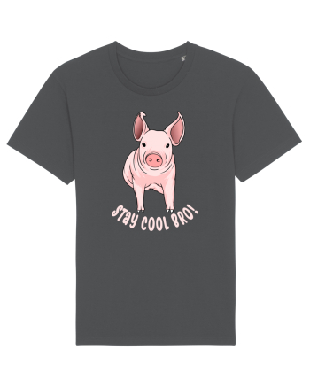 Stay Cool Bro! Anthracite