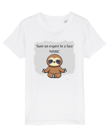SUNT UN EXPERT IN A FACE NIMIC White