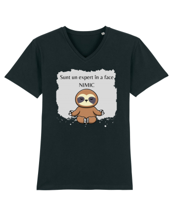 SUNT UN EXPERT IN A FACE NIMIC Black