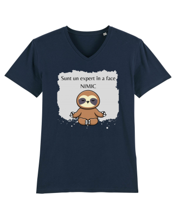 SUNT UN EXPERT IN A FACE NIMIC French Navy