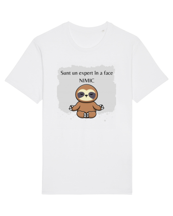 SUNT UN EXPERT IN A FACE NIMIC White