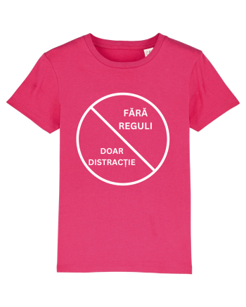 FARA REGULI - DOAR DISTRACTIE Raspberry