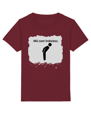 MA CAM INDOIESC Burgundy