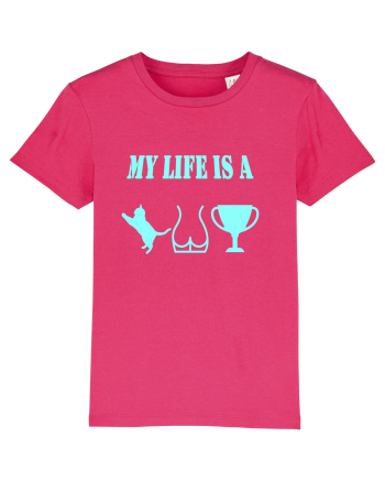 My life is a cat-ass-trophy v3 Raspberry