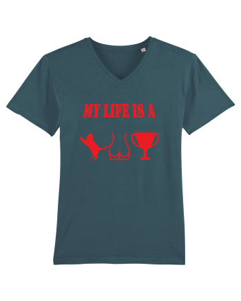 My life is a cat-ass-trophy v4 Stargazer