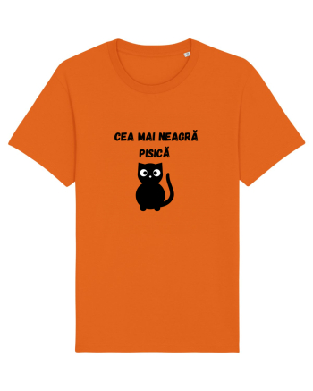 CEA MAI NEAGRA PISICA Bright Orange