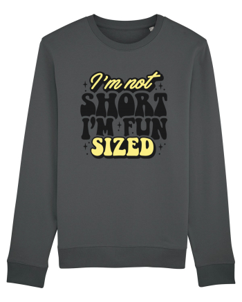 I'm not short, I'm fun sized Anthracite