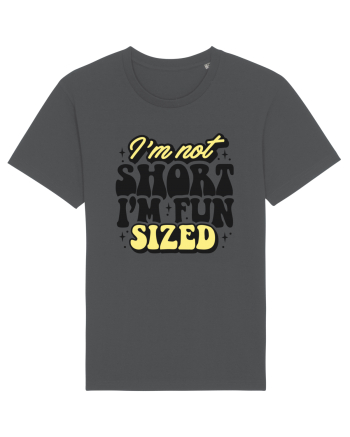 I'm not short, I'm fun sized Anthracite