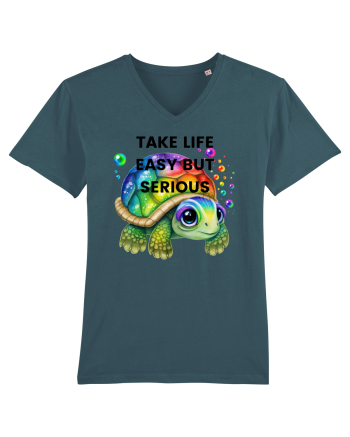 Broasca testoasa pictata in acuarela cu mesajul Take Life Easy but Serious Stargazer