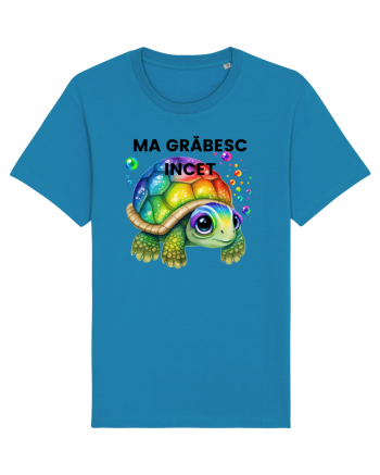 Broasca testoasa pictata in acuarela cu mesajul Ma grabesc Incet Azur