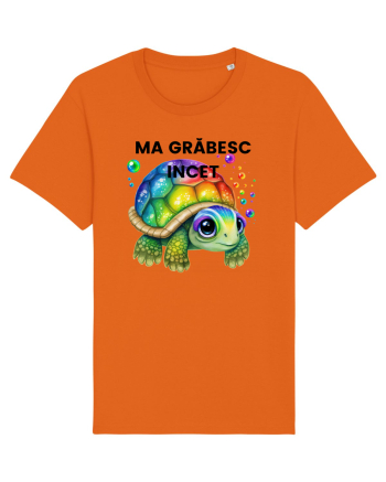 Broasca testoasa pictata in acuarela cu mesajul Ma grabesc Incet Bright Orange