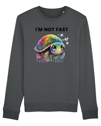 Broasca testoasa pictata in acuarela cu mesajul I'm not fast Anthracite
