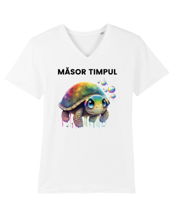 Broasca testoasa pictata in acuarela cu mesajul  Masot Timpul White
