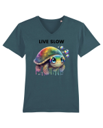 Broasca testoasa pictata in acuarela cu mesajul Live Slow Tricou mânecă scurtă guler V Bărbat Presenter