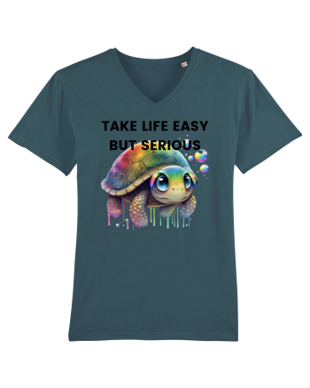 Broasca testoasa pictata in acuarela cu mesajul Take Life Easy but Serious Stargazer