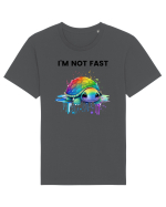 Broasca testoasa pictata in acuarela cu mesajul  Tricou mânecă scurtă Unisex Rocker