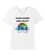 Broasca testoasa pictata in acuarela cu mesajul  Slow Down and Enjoy Life Tricou mânecă scurtă guler V Bărbat Presenter