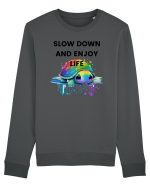 Broasca testoasa pictata in acuarela cu mesajul  Slow Down and Enjoy Life Bluză mânecă lungă Unisex Rise